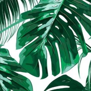 Meet your Posher, Jenn